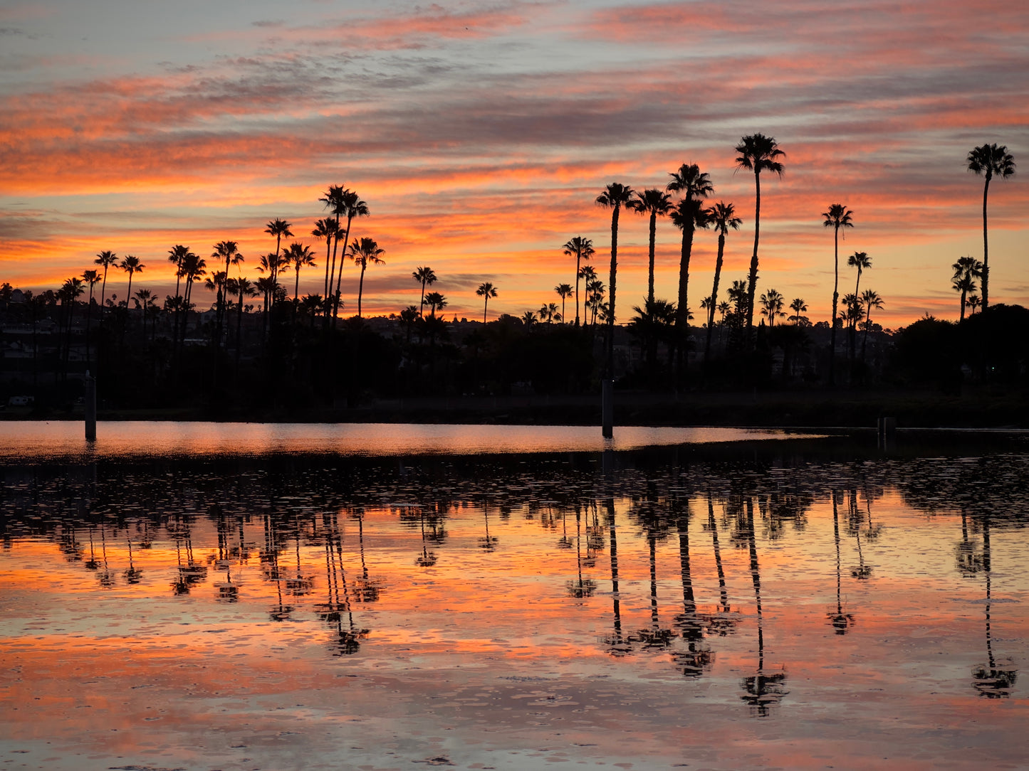 Mission Bay Sunrise