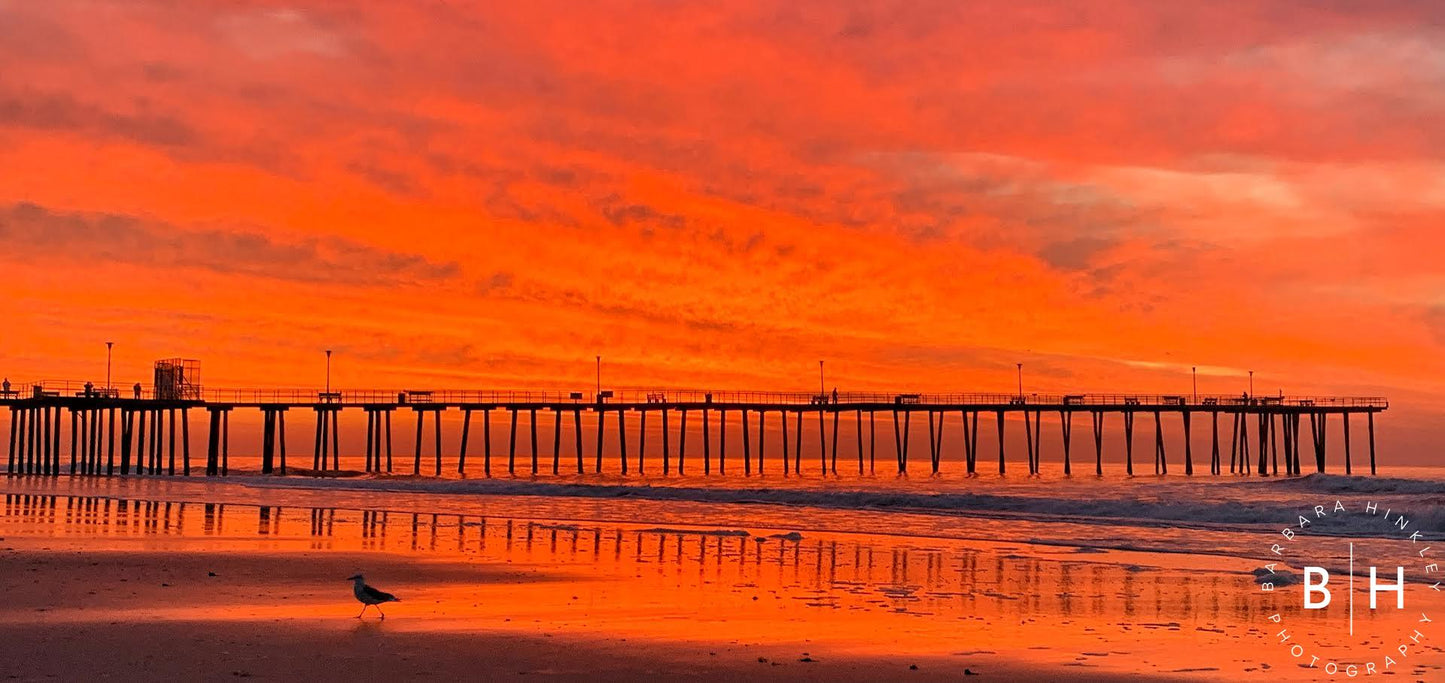 Ventnor Pier Orange