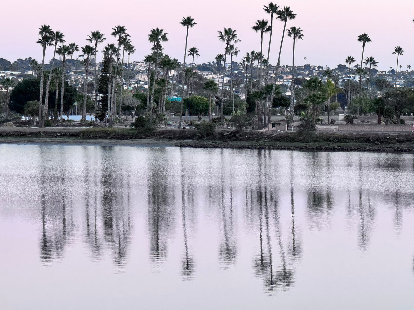 Somewhere in San Diego