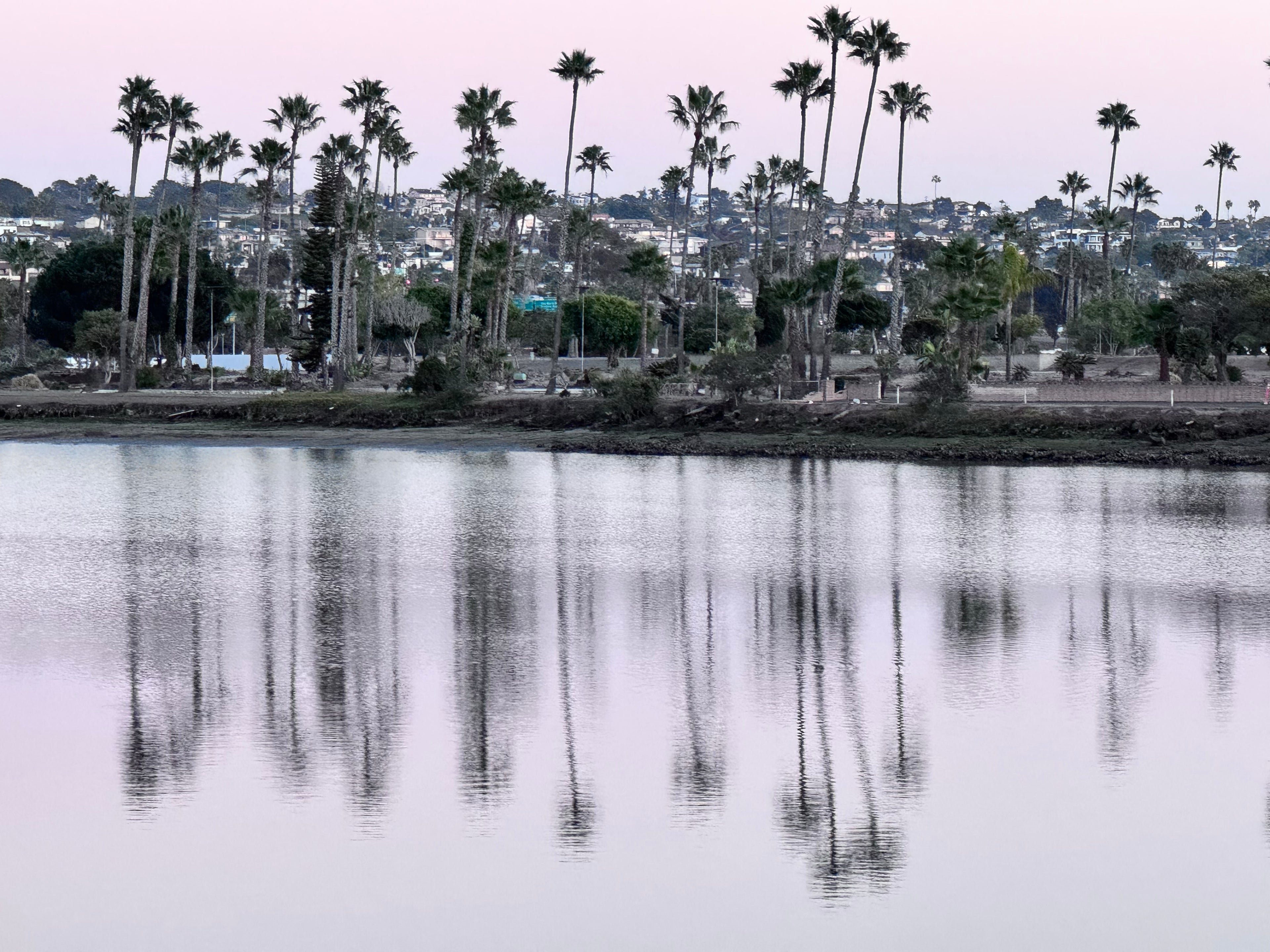 Somewhere in San Diego