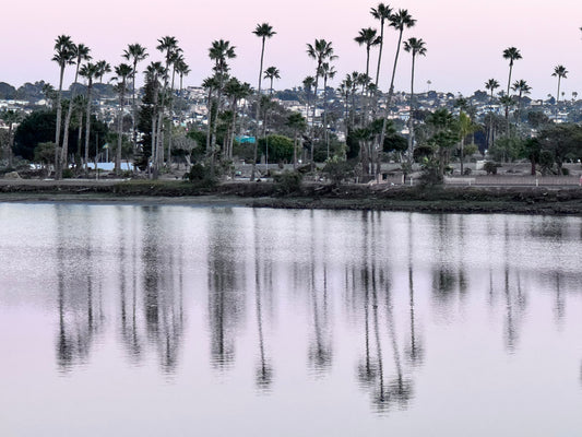 Somewhere in San Diego