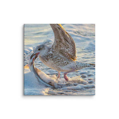 Bird at Sea