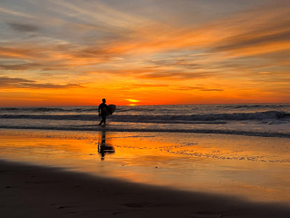 Surfer at Sunset